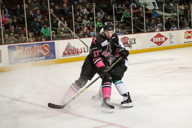 Idaho Steelheads vs. the Alaska Aces