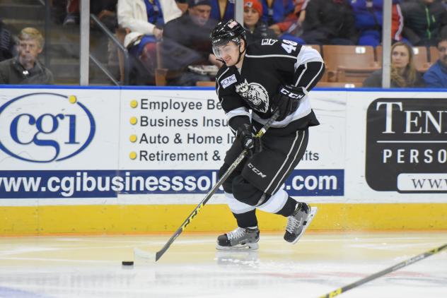 Manchester Monarchs Forward Maxim Kitsyn