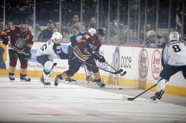 Chicago Wolves and Milwaukee Admirals Fight for the Puck Along the Boards