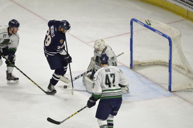 Florida Everblades Goaltender Anthony Peters Stops the Greenville Swamp Rabbits