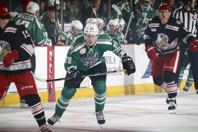 Chicago Wolves RW Jacob Doty vs. the Grand Rapids Griffins