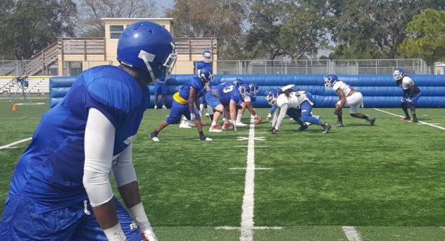 Tampa Bay Storm in Training Camp
