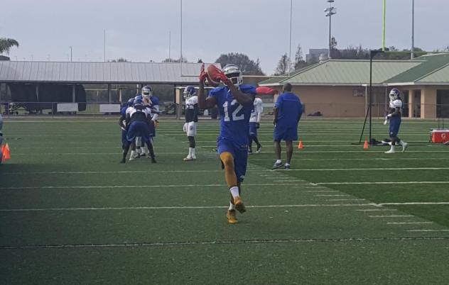 Tampa Bay Storm Training Camp Drill
