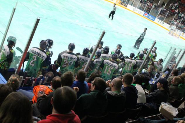 Kalamazoo Wings on St. Patrick's Day
