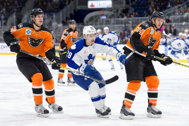 Lehigh Valley Phantoms vs. the Toronto Marlies