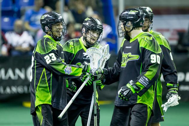 Saskatchewan Rush Celebrate a Goal