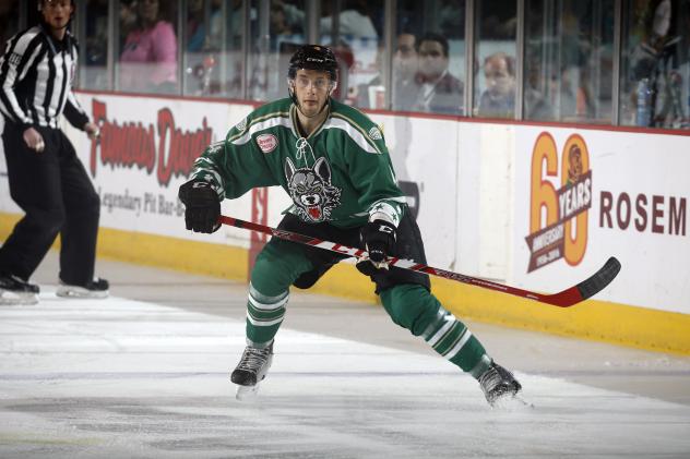 Chicago Wolves Defenseman Petteri Lindbohm