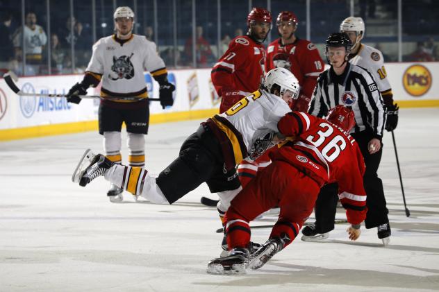 Chicago Wolves Fight with the Charlotte Checkers
