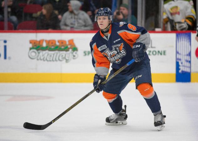 Flint Firebirds Defenseman Vili Saarijarvi