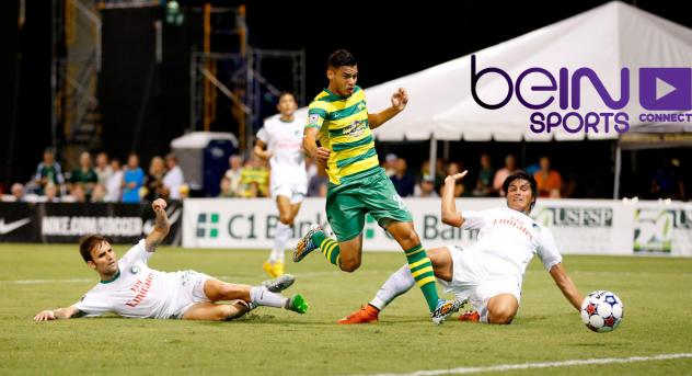 Tampa Bay Rowdies vs. the New York Cosmos