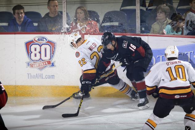 Chicago Wolves D Travis Walsh vs. the Lake Erie Monsters