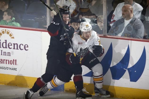 Chicago Wolves LW Emerson Clark Crunched against the Boards by the Lake Erie Monsters