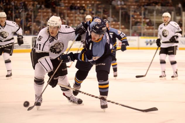 Manchester Monarchs Battle the Toledo Walleye
