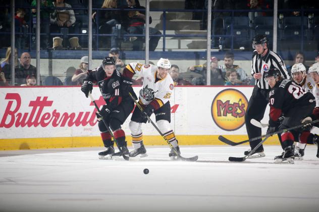 Chicago Wolves D Travis Walsh vs. the Lake Erie Monsters