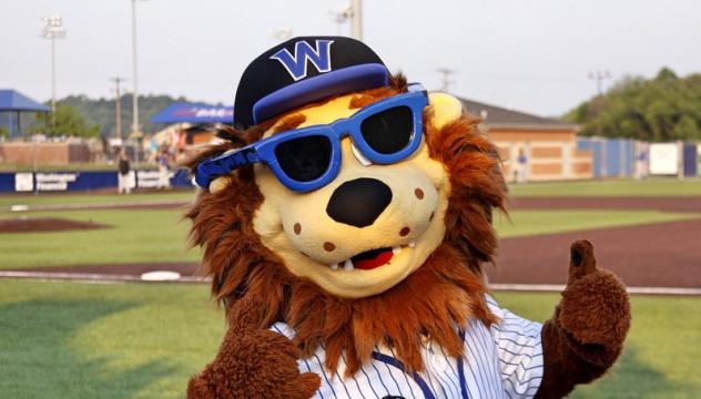 Wild Thing, the Mascot of the Washington Wild Things