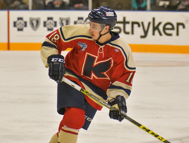 Kalamazoo Wings Centerman Curtis Valk