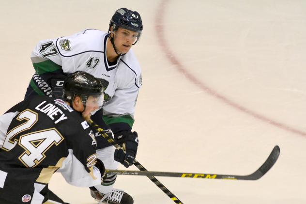 Florida Everblades Defenseman Logan Roe