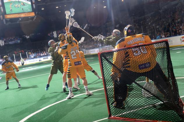 Georgia Swarm and the Rochester Knighthawks Battle for Possession