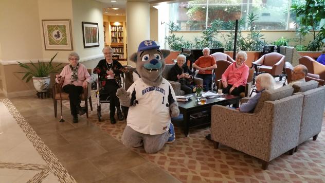 Victoria HarbourCats and Retirement Concepts
