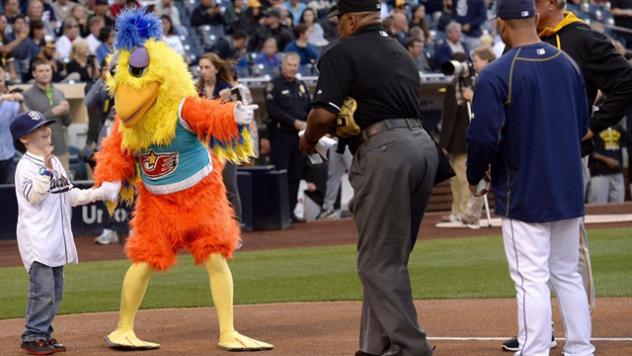 San Diego Chicken in Action