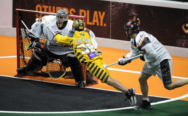 Shayne Jackson of the Georgia Swarm Shoots vs. the New England Black Wolves