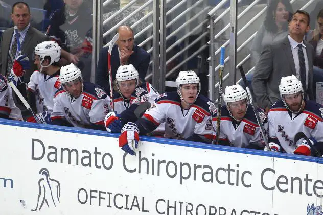 Hartford Wolf Pack Bench