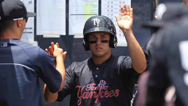 Mark Payton of the Tampa Yankees Receives Congratulations