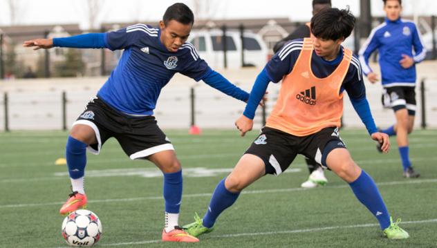 FC Edmonton Academy in Action