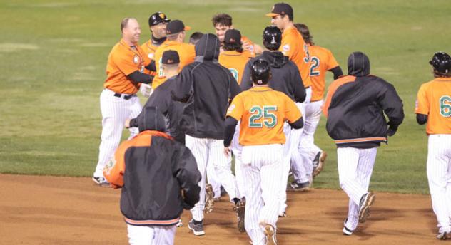 Long Island Ducks Celebrate Walk-Off Win