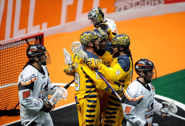 Georgia Swarm Celebrate vs. the New England Black Wolves