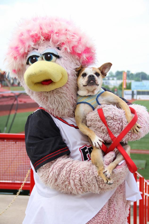 Diva of the Diamond Belle