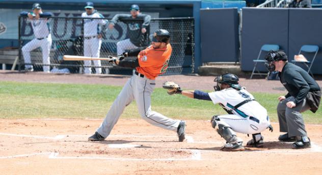 Anthony Vega of the Long Island Ducks
