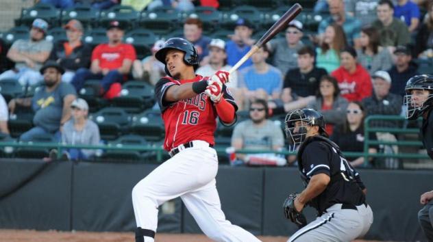 Hickory Crawdads RF Jose Almonte