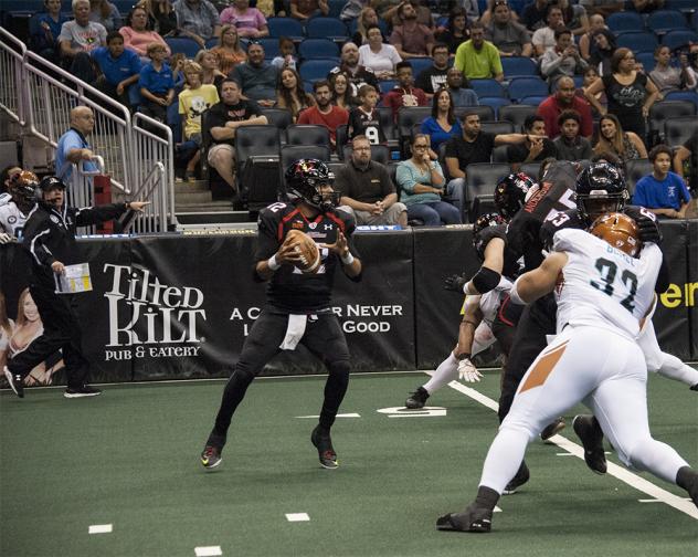 Orlando Predators QB Randy Hippeard Back to Pass vs. the Arizona Rattlers