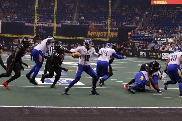 Tampa Bay Storm Quarterback Jason Boltus Drops back for a Pass vs. the Orlando Predators
