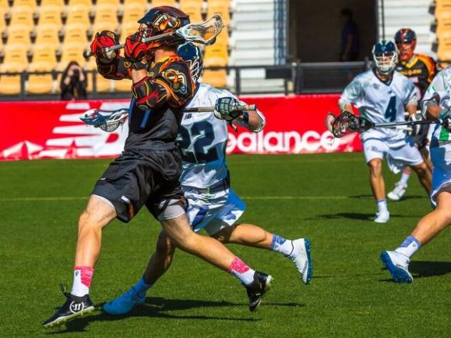 Atlanta Blaze in Action