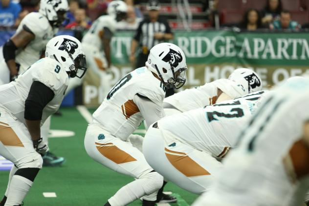 Arizona Rattlers Quarterback Nick Davila
