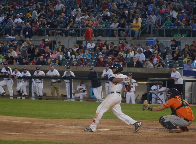 Eric Farris of the Somerset Patriots Swings Away