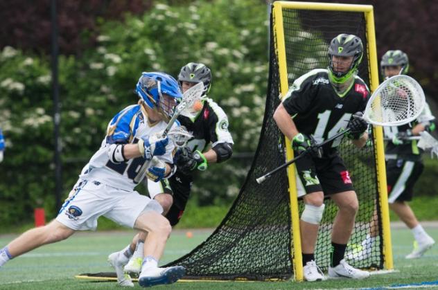 Charlotte Hounds Battle the Long Island Lizards