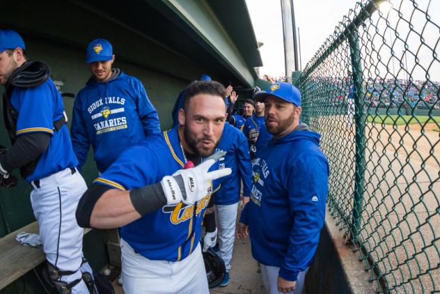 Sioux Falls Canaries First Baseman David Bergin