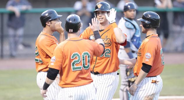 Long Island Ducks Celebrate Tyler Colvin's Grand Slam