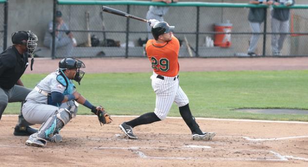 Mike Dowd of the Long Island Ducks
