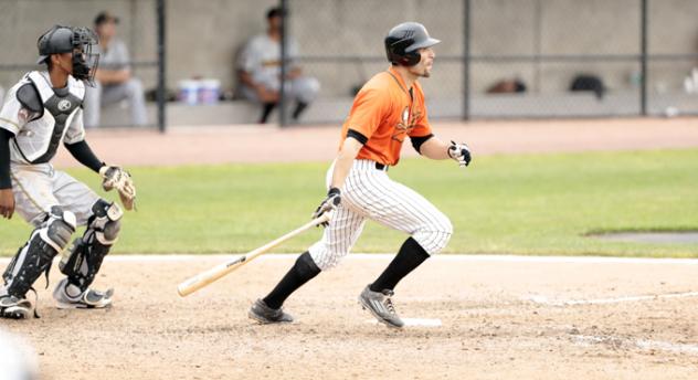 Anthony Vega of the Long Island Ducks