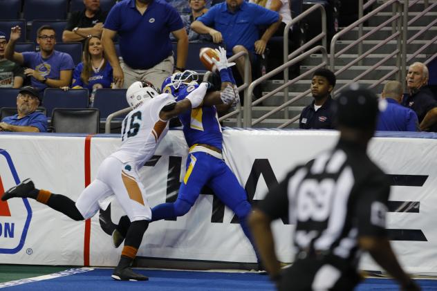 Tampa Bay Storm WR T.T. Toliver Catches the Game-Winning Touchdown vs. the Arizona Rattlers