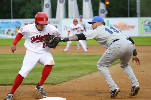 Sioux Falls Canaries Try to Tag out the Winnipeg Goldeyes