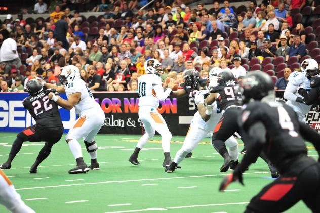 Arizona Rattlers QB Nick Davila Surveys the Field