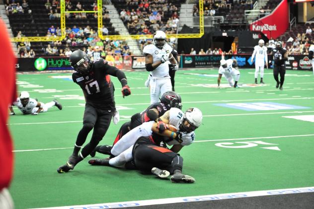 Arizona Rattlers WR Chase Deadder Stretches for the Goalline vs. the Cleveland Gladiators
