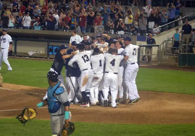 Somerset Patriots Celebrate Matt Fields' Walk-Off Home Run