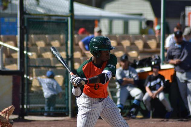 Chris Botsoe of the Green Bay Bullfrogs