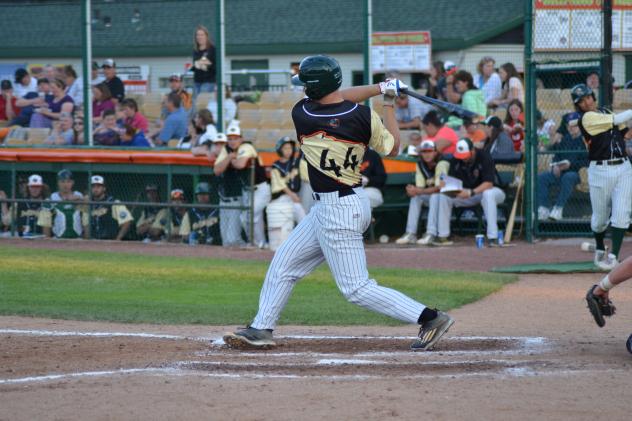 Green Bay Bullfrogs Infielder Zachary Biermann